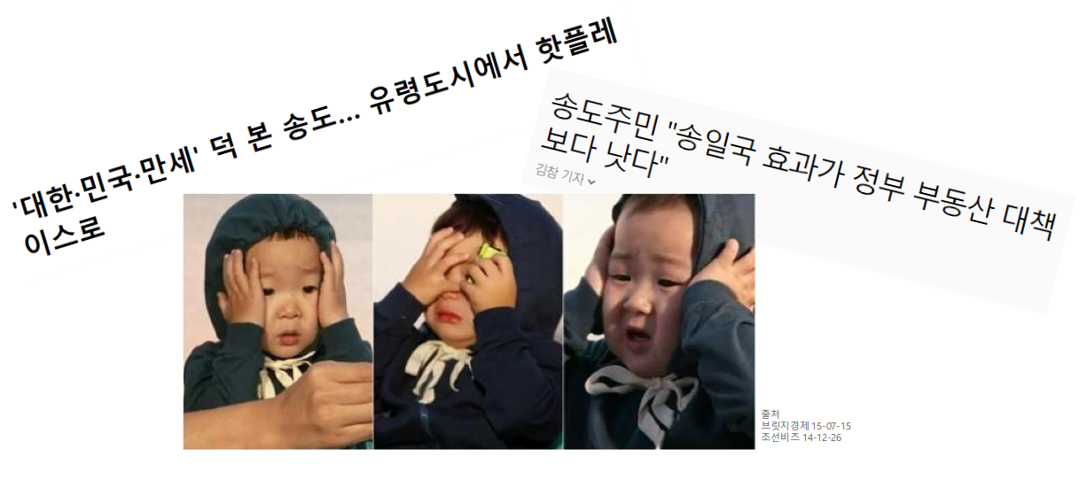 삼둥이 기사